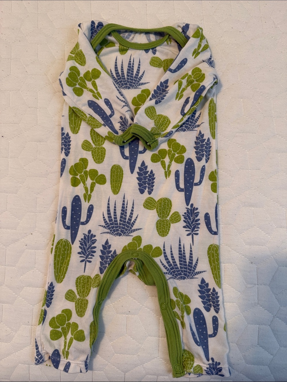 Bestaroo Green & Blue Cactus Print Baby One-Piece